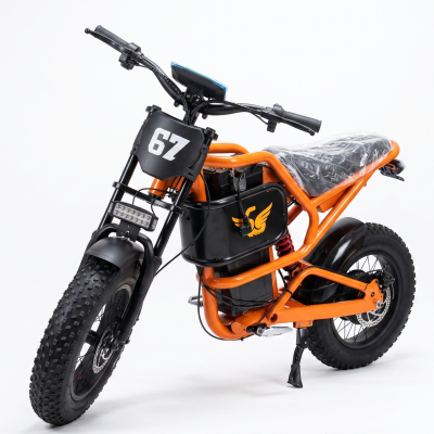Kuguu M67 Sports Electric Scooter | 12V 20Ah Battery