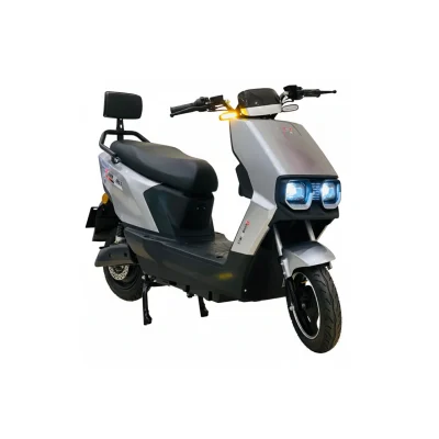 Rohan Wings B01 Electric Pro Scooter